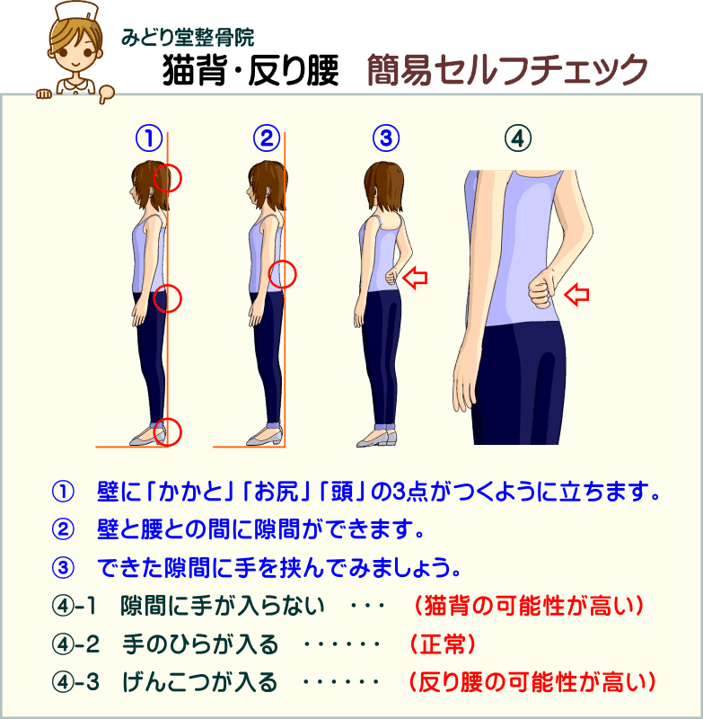 誰でもわかる 】猫背・反り腰について | みどり堂整骨院