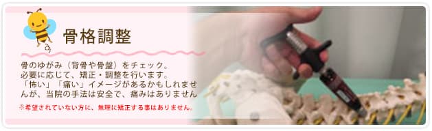 骨格調整 骨のゆがみ(背骨や骨盤)をチェック。必要に応じて、矯正・調整を行います。「怖い」「痛い」イメージがあるかもしれませんが、当院の手法は安全で、痛みはありません。※希望されていない方に、無理に矯正する事はありません。