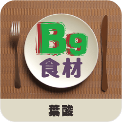 ビタミンＢ９（葉酸）_食材