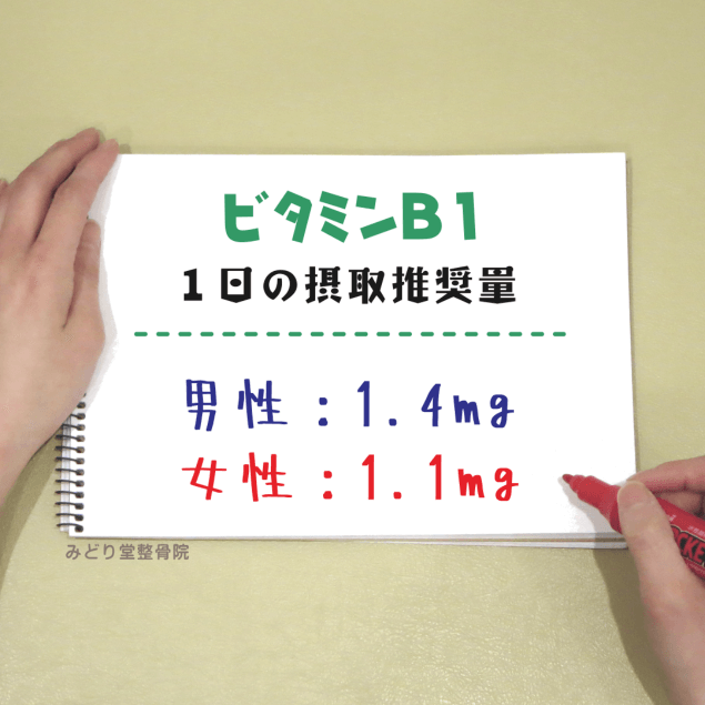 ビタミンＢ１_一日の摂取推奨量