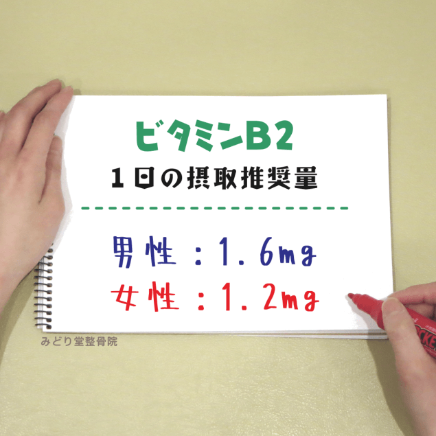 ビタミンＢ２_一日の摂取推奨量