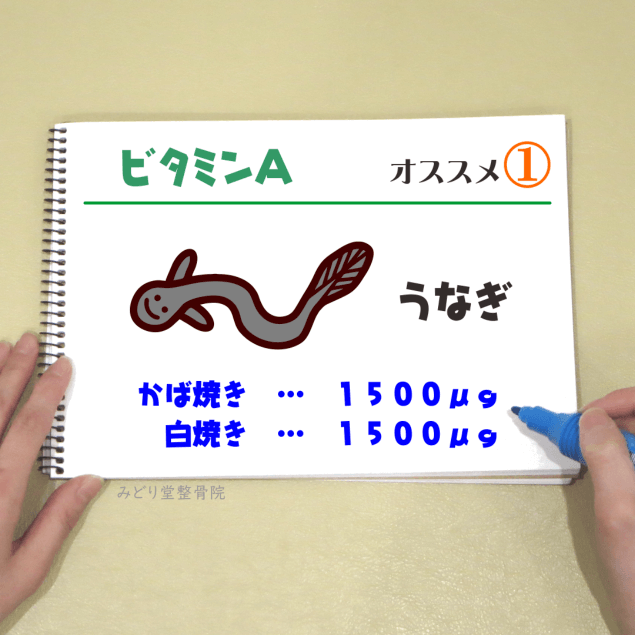 ビタミンＡ_オススメ１（うなぎ）