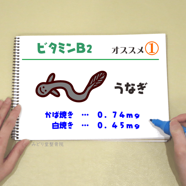 ビタミンＢ２_オススメ１（うなぎ）