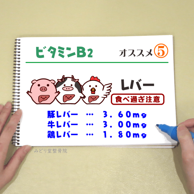 ビタミンＢ２_オススメ５（豚レバー・牛レバー）