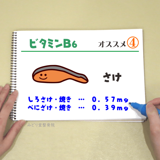 ビタミンＢ６_オススメ４（さけ）