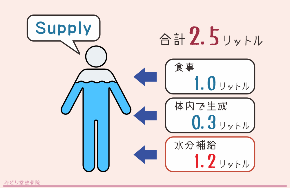 1日に飲み水での水分補給は約1.2リットル