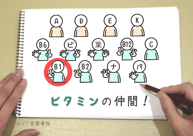 ビタミンB1が水溶性ビタミンに分類されることを示す分類図