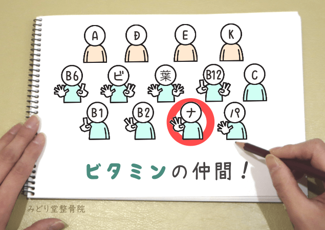 ナイアシンが水溶性ビタミンに分類されることを示す分類図