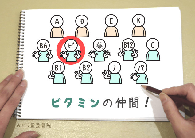 ビオチンが水溶性ビタミンに分類されることを示す分類図