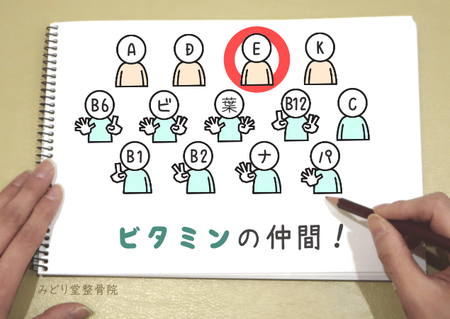 ビタミンEが脂溶性ビタミンに分類されることを示す分類図