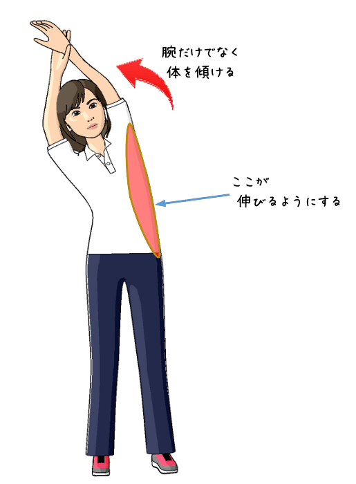 脇腹のストレッチをする女性のイラスト