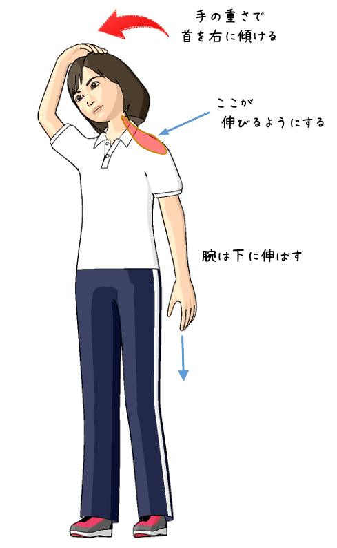 首から肩のストレッチをする女性のイラスト