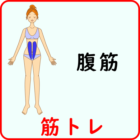 腹筋の筋トレ