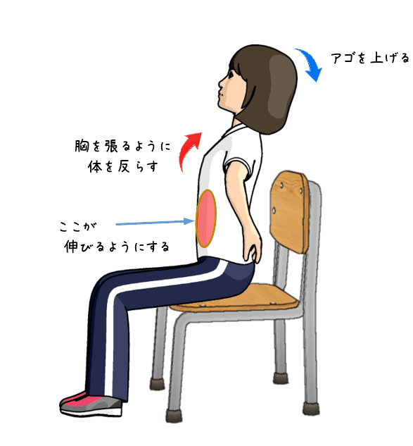 お腹の筋肉のストレッチをする女性のイラスト