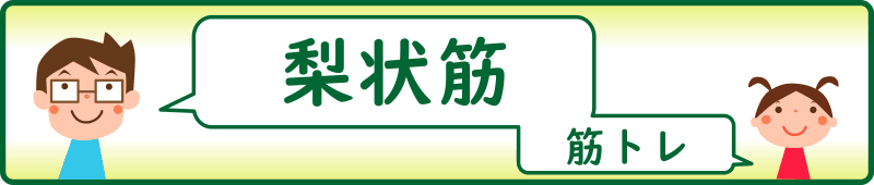 梨状筋の筋トレ