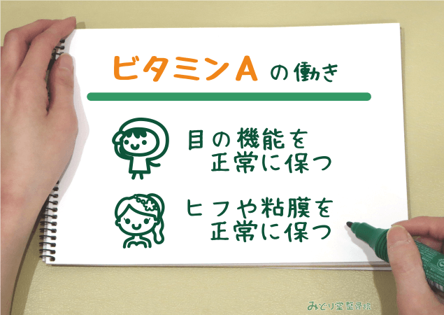 目の機能維持や皮膚・粘膜の健康など、ビタミンAの働きを説明する図