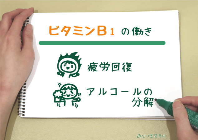 疲労回復・アルコールの分解 など、ビタミンB1の働きを説明する図