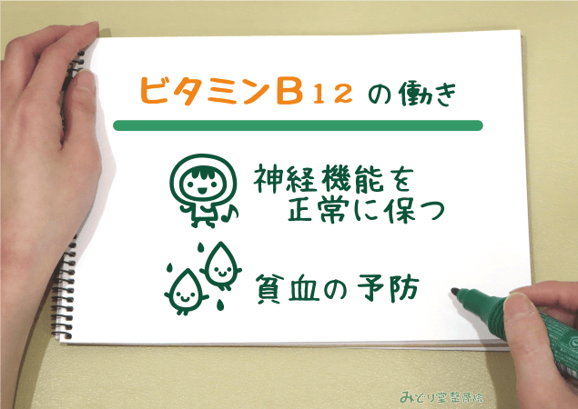 神経機能を正常に保つ・貧血の予防 など、ビタミンB12の働きを説明する図