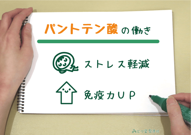 ストレス軽減・免疫力アップ など、パントテン酸の働きを説明する図