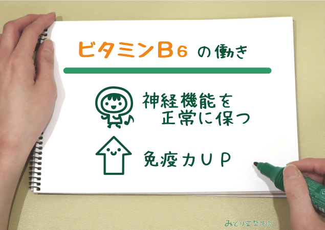 神経機能を正常に保つ・免疫力アップ など、ビタミンB6の働きを説明する図