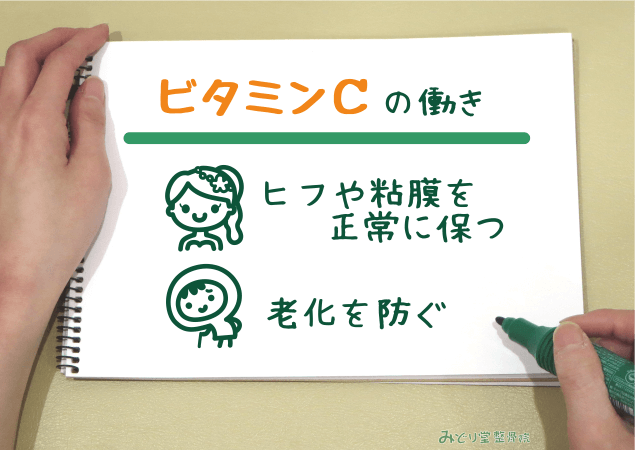 皮膚や粘膜を正常に保つ・老化を防ぐ など、ビタミンCの働きを説明する図