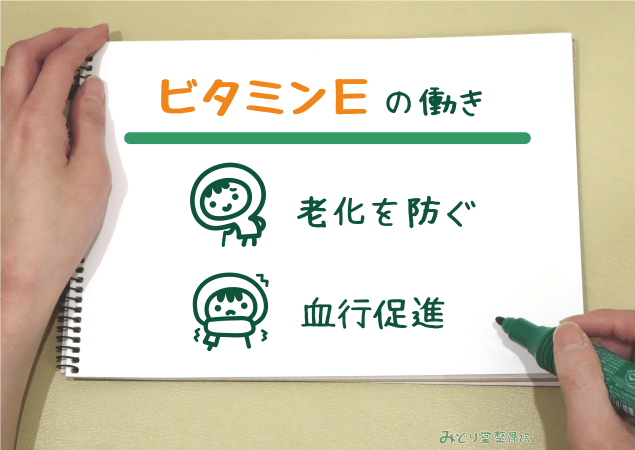 老化を防ぐ・血行促進など、ビタミンEの働きを説明する図