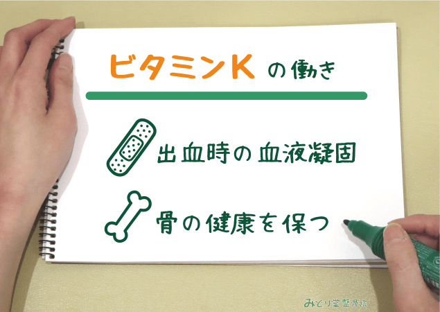 出血時の血液凝固・骨の健康を保つ など、ビタミンKの働きを説明する図