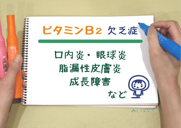 口内炎・眼球炎・脂漏性皮膚炎・成長障害 など、ビタミンB2欠乏症を示す図