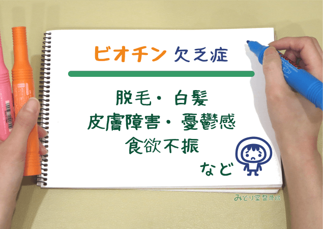 脱毛・白髪・皮膚障害・憂鬱感・食欲不振 など、ビオチン欠乏症を示す図