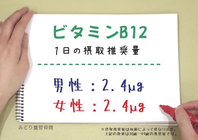 ビタミンB12の1日推奨摂取量（男性2.4μg・女性2.4μg）を示す図