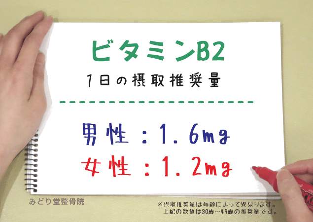 ビタミンB2の1日推奨摂取量（男性1.6mg・女性1.2mg）を示す図