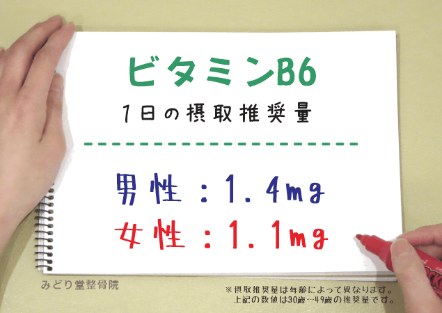 ビタミンB6の1日推奨摂取量（男性1.4mg・女性1.1mg）を示す図