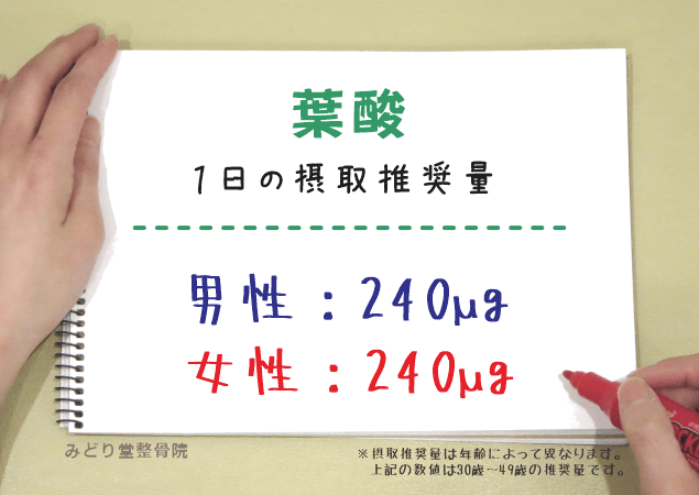 葉酸の1日推奨摂取量（男性240μg・女性240μg）を示す図