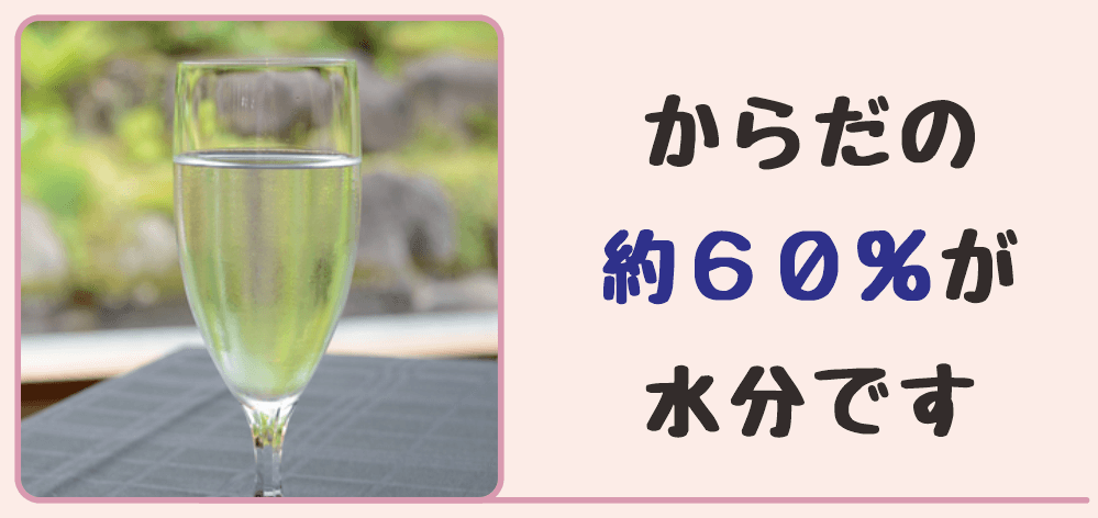 身体の約60％が水分です