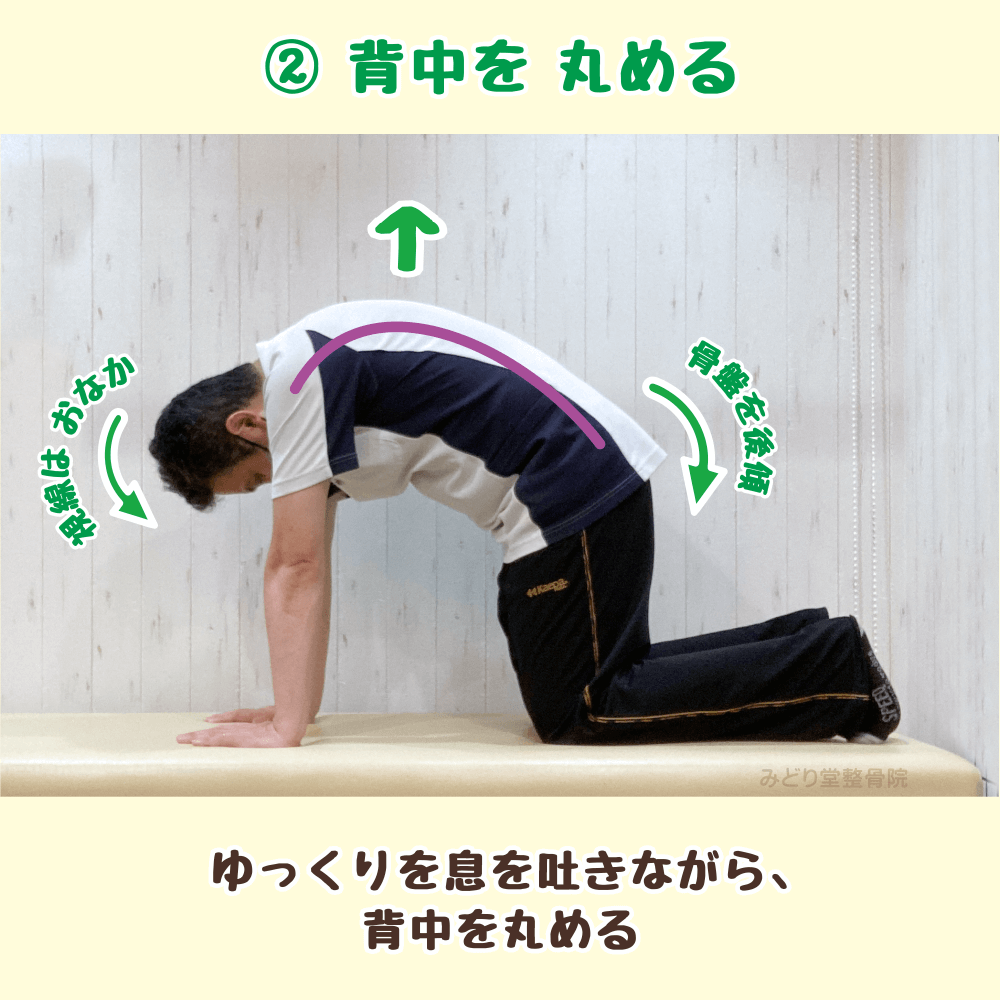 息を吐きながら背中を丸めるセルフケアの動作を示した画像（キャットポーズの姿勢）
