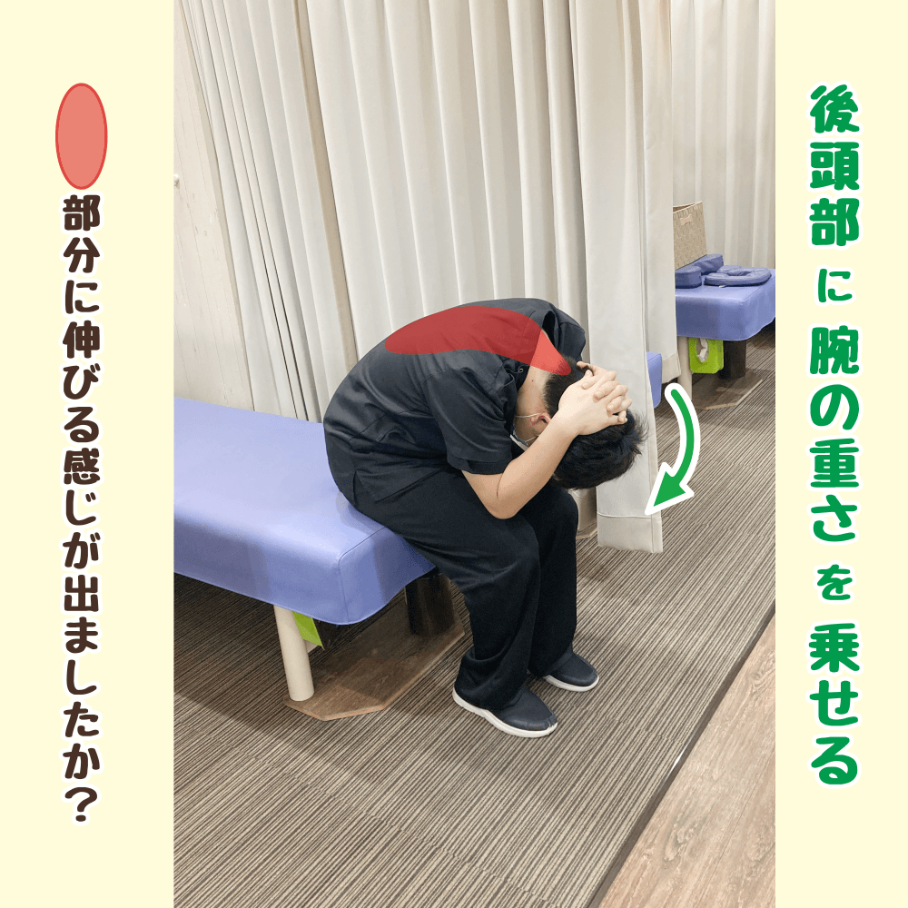後頭部に手を添えて、首から背中・腰までをより深く伸ばす前屈ストレッチの強調動作