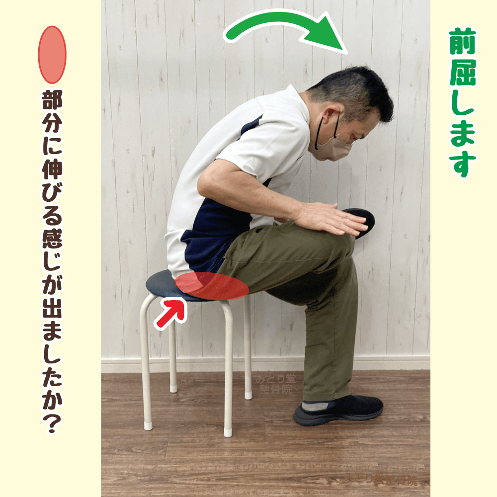 大殿筋ストレッチ：前屈して筋肉を伸ばす姿勢