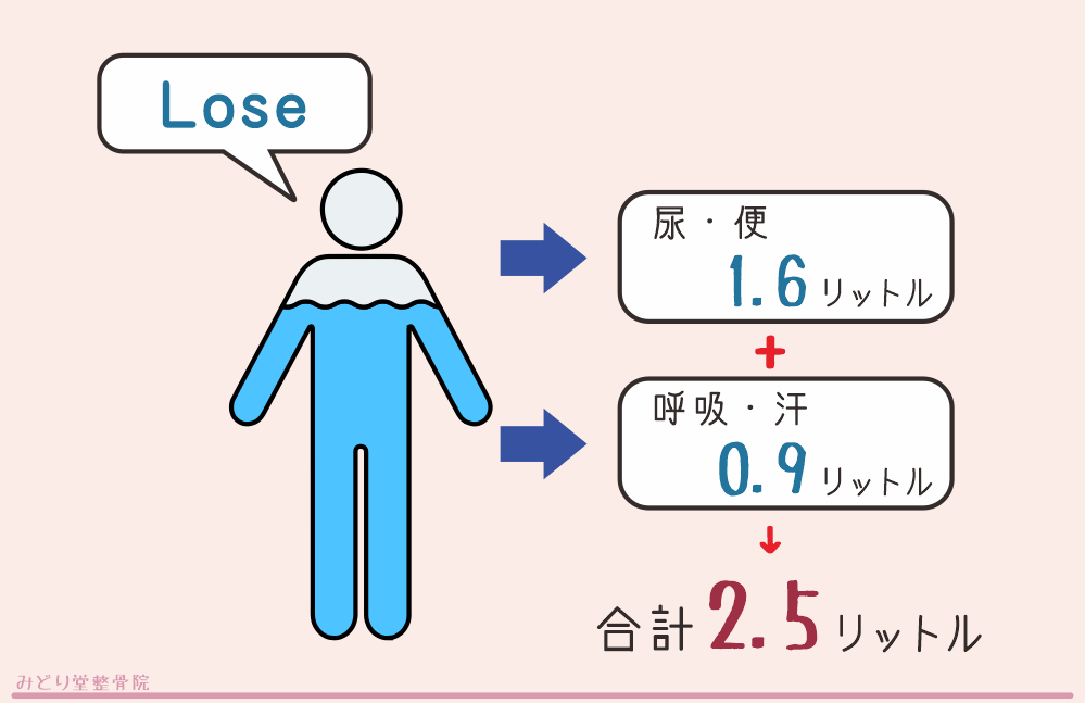 1日に身体から失われる水分量は約2.5リットル