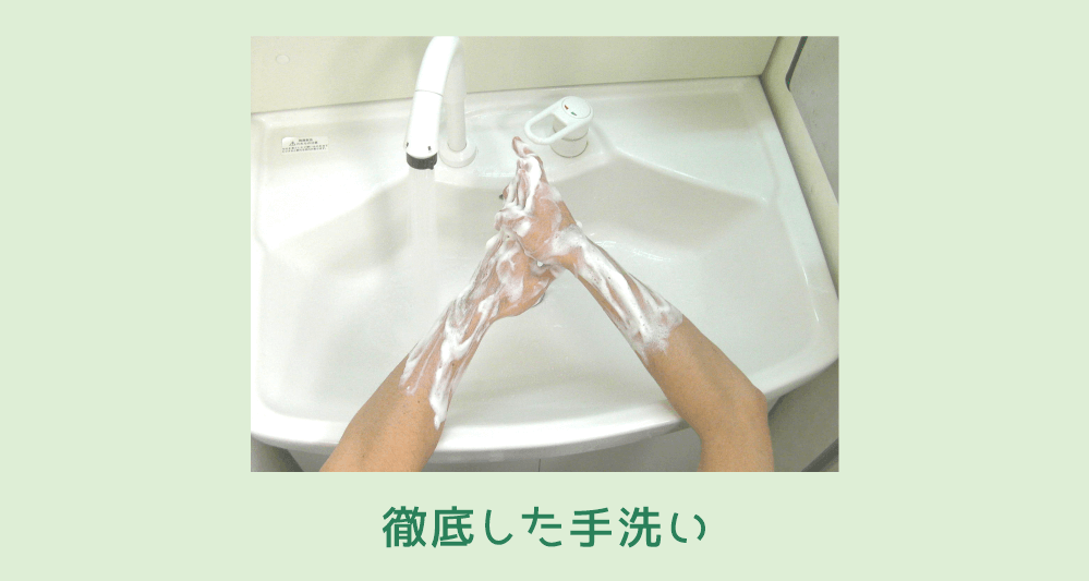 徹底した手洗い