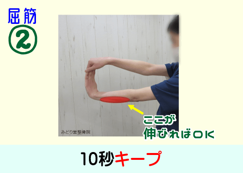 前腕部「屈筋」ストレッチ：手のひら側の前腕部に伸ばされている感覚が出たら10秒キープ