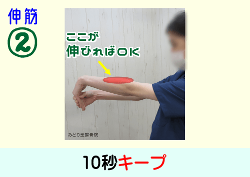 前腕部「伸筋」ストレッチ：手の甲側の前腕部に伸ばされている感覚が出たら10秒キープ