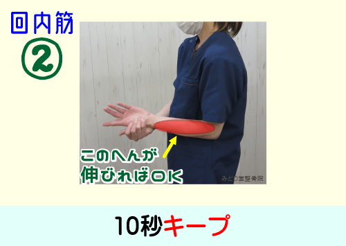 前腕部「回内筋」ストレッチ：手のひら側の前腕部に伸ばされている感覚が出たら10秒キープ