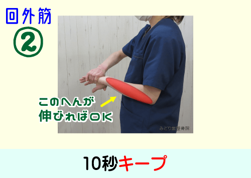 前腕部「回外筋」ストレッチ：手の甲側の前腕部に伸ばされている感覚が出たら10秒キープ