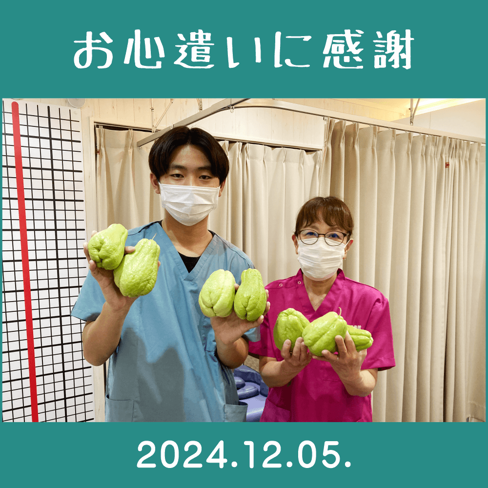 2024.12.05.　患者様からの頂き物「家庭菜園で作られた野菜（ハヤトウリ）」