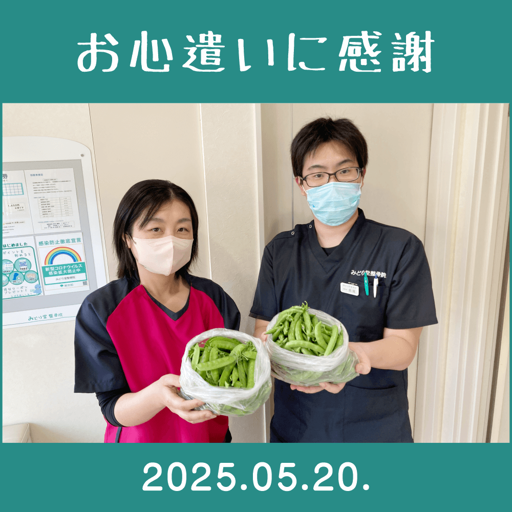 2025.05.20.　患者様からの頂き物「家庭菜園で作られた無農薬野菜｜スナップエンドウ・絹サヤ」