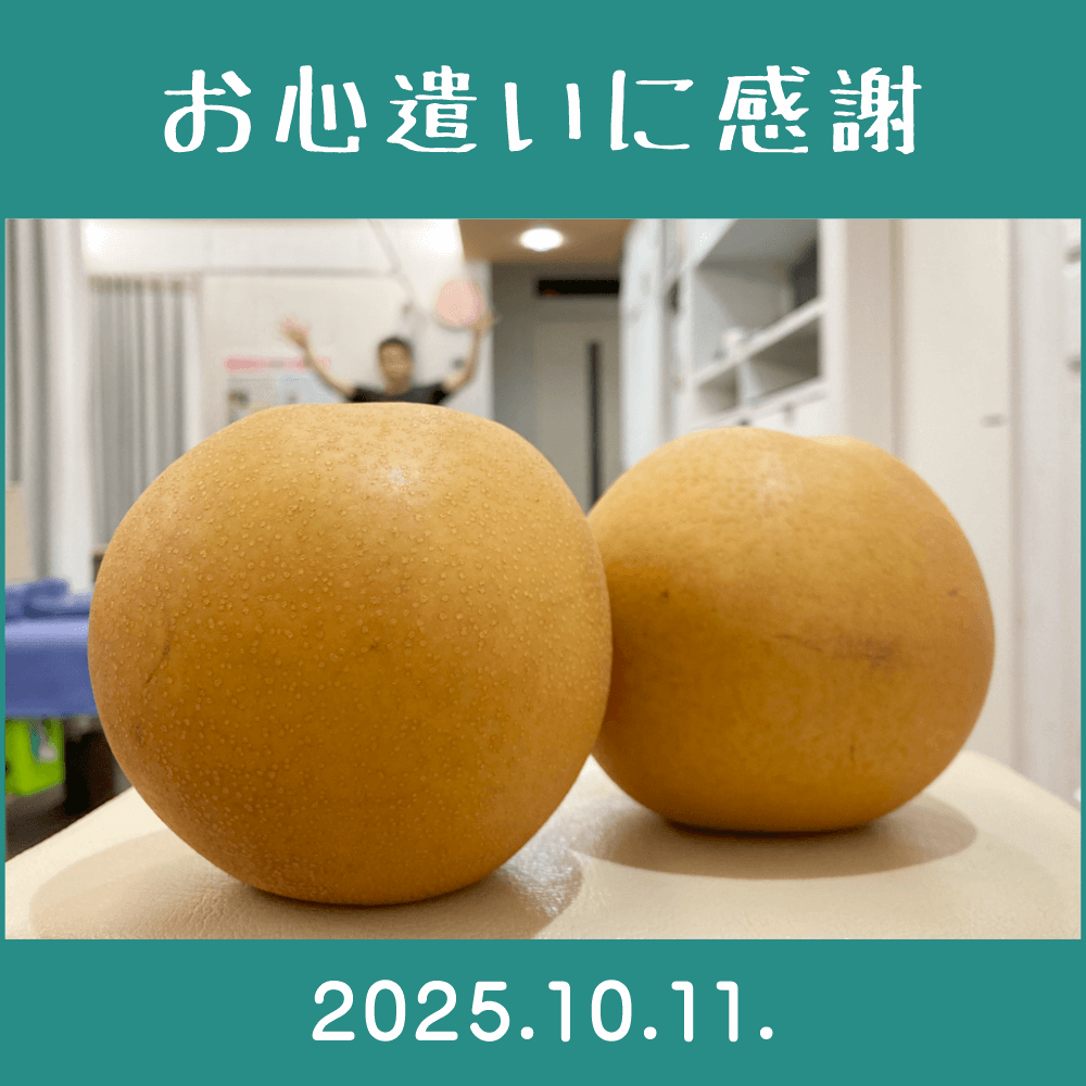2025.10.11.　患者様から「梨」を頂きました