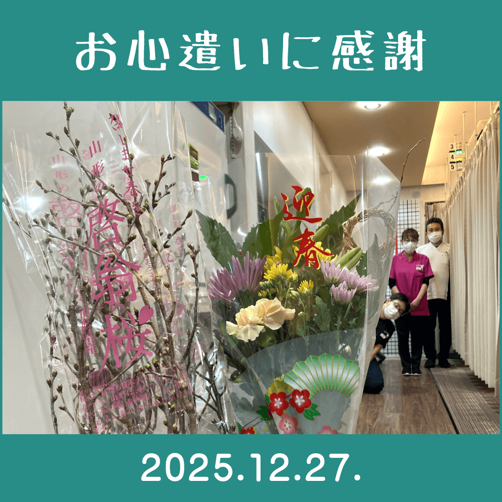 2025.12.27.　患者様からの頂き物。　「山形の啓翁桜」「お正月用の切り花」