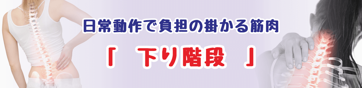 下り階段の動作で負担がかかりやすい筋肉に関する説明ページのタイトル画像