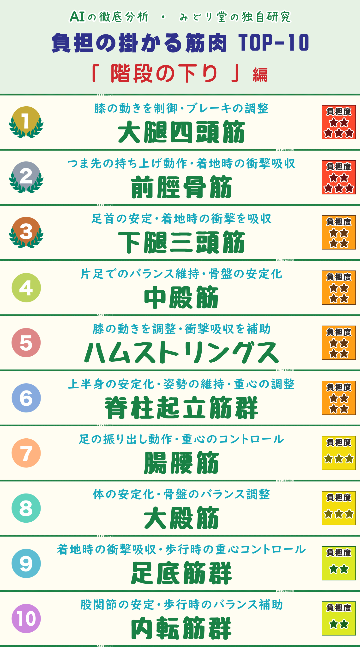 下り階段の動作で負担がかかる筋肉トップ10のランキング表