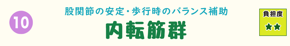 下り階段で負担がかかる筋肉 第10位：内転筋群の役割を説明するバナー